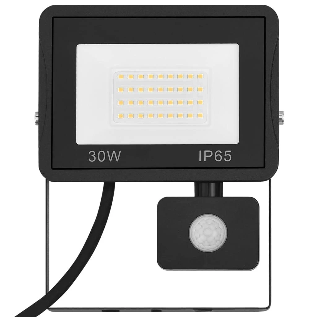 LED prožektorius su jutikliu, šaltos baltos spalvos, 30W