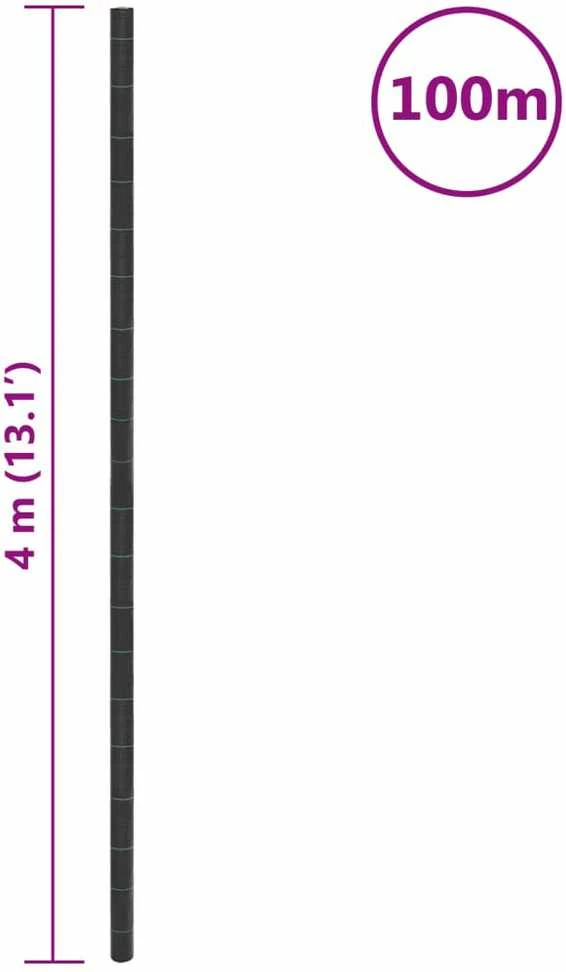 Membrana nuo piktžolių, juodos spalvos, 4x100m, PP