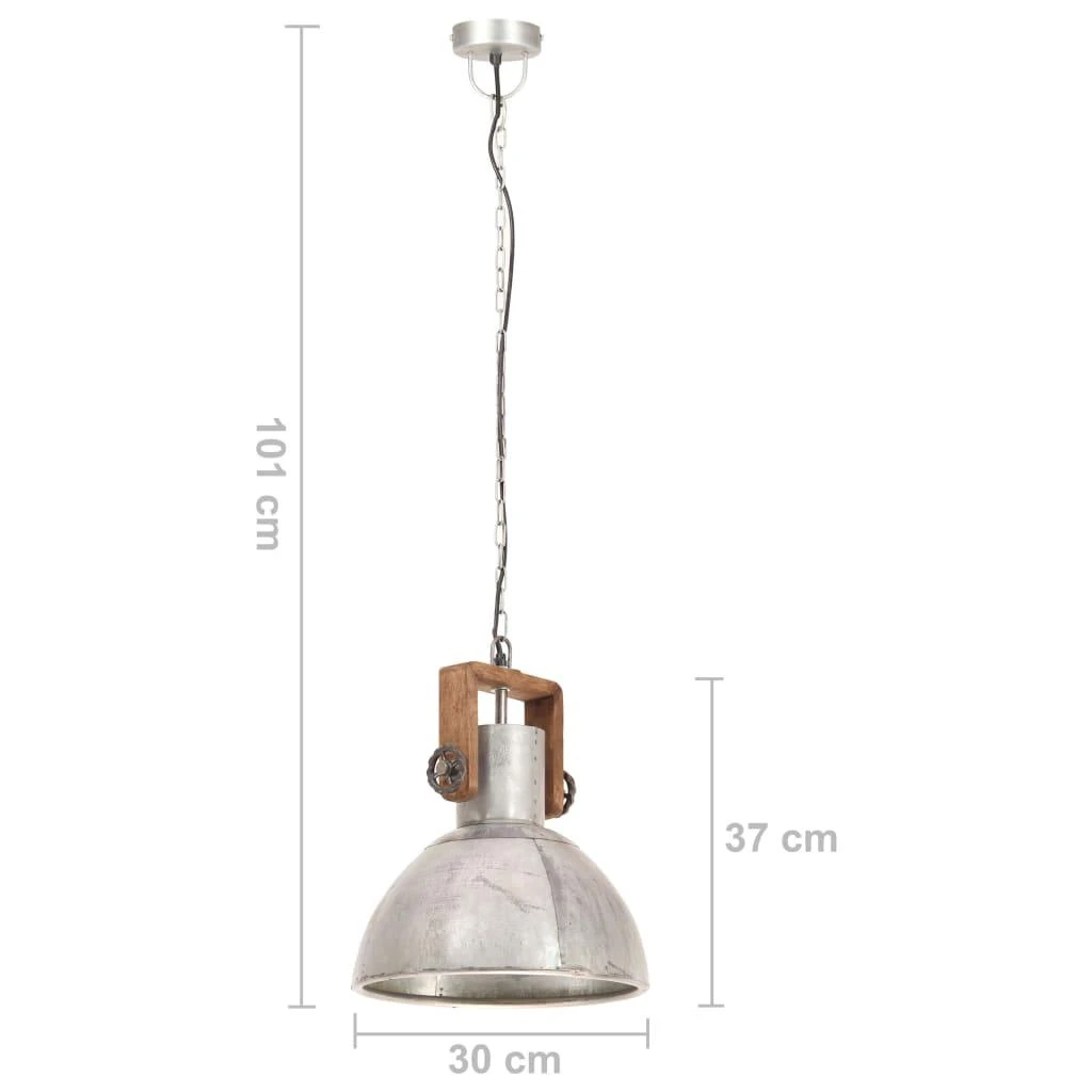 Pakabinamas šviestuvas, sidabrinis, 30cm, 25W, apskritas, E27