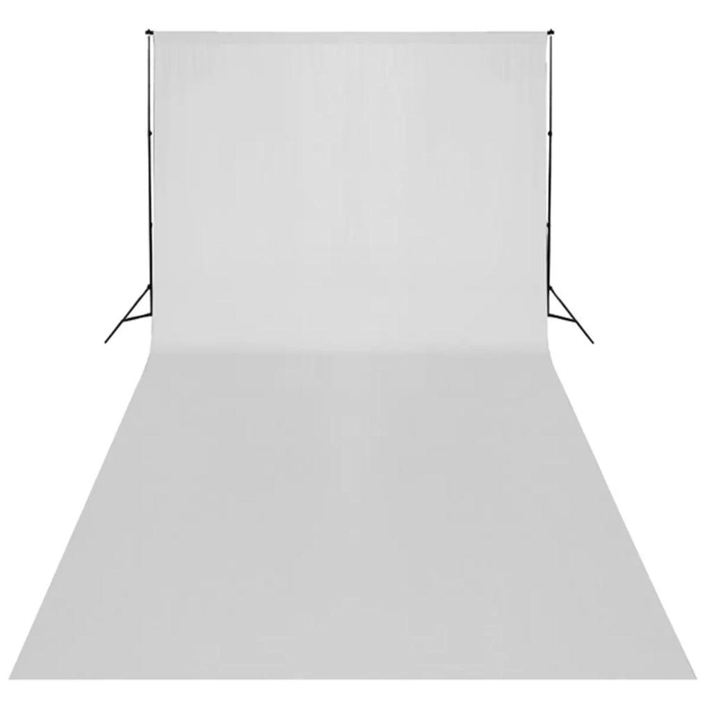 Rinkinys fotostudijai, baltas fonas 600x300cm ir šviestuvai