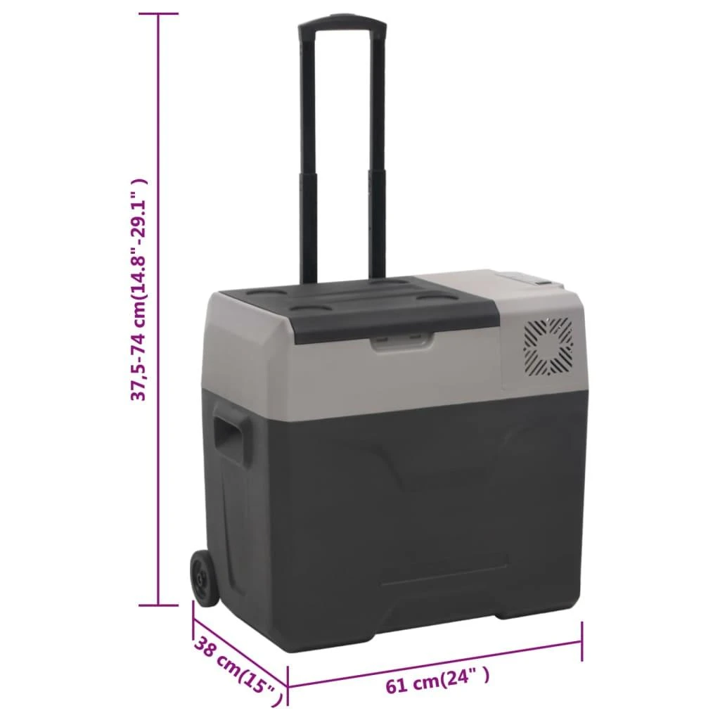 Šaltdėžė su ratukais ir rankena, juoda ir pilka, 30l, PP