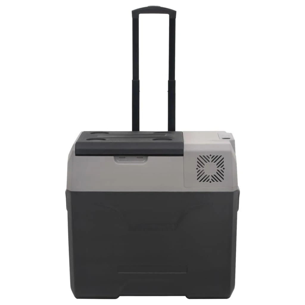 Šaltdėžė su ratukais ir rankena, juoda ir pilka, 50l, PP