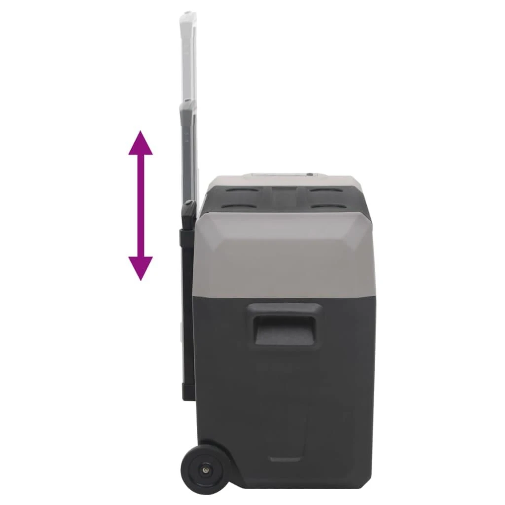 Šaltdėžė su ratukais ir rankena, juoda ir pilka, 30l, PP