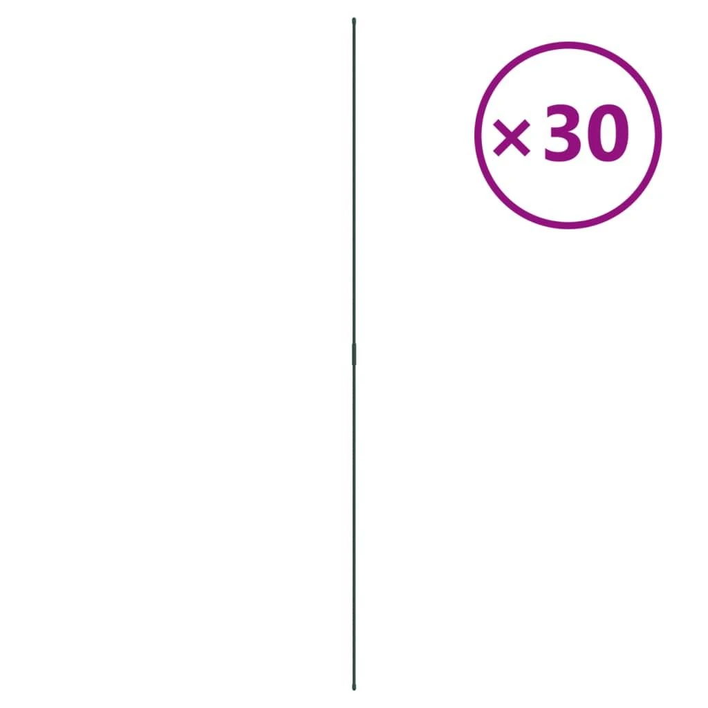 Sodo augalų kuoliukai, 30vnt., žalios spalvos, 180cm, plienas