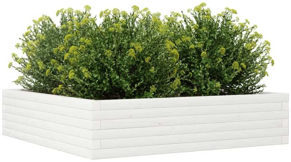 Sodo lovelis, baltas, 100x100x23cm, pušies medienos masyvas