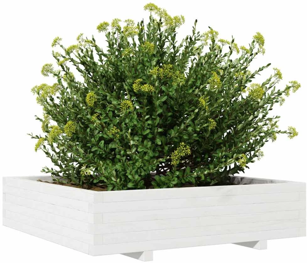Sodo lovelis, baltas, 100x100x26,5cm, pušies medienos masyvas