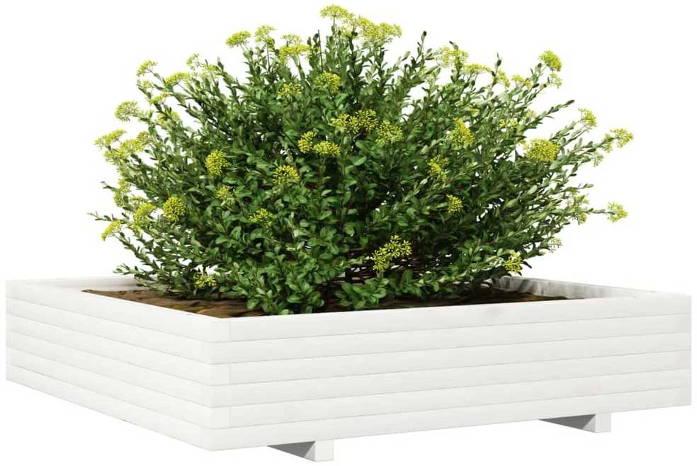 Sodo lovelis, baltas, 110x110x26,5cm, pušies medienos masyvas