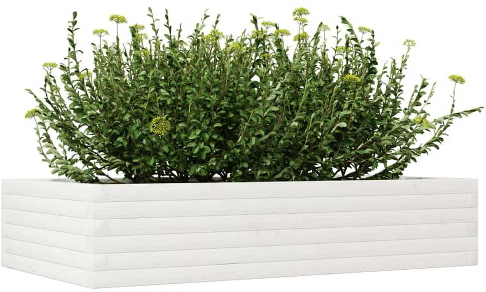 Sodo lovelis, baltas, 110x60x23cm, pušies medienos masyvas
