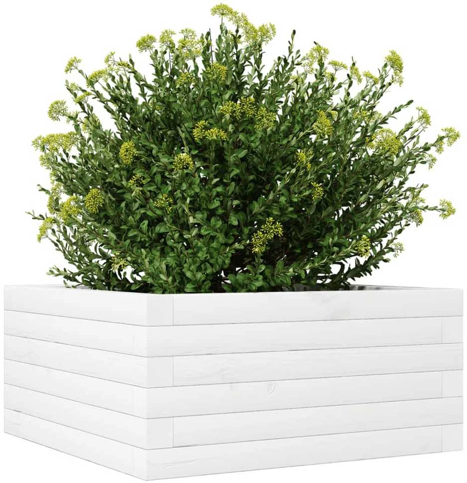 Sodo lovelis, baltas, 50x50x23cm, pušies medienos masyvas