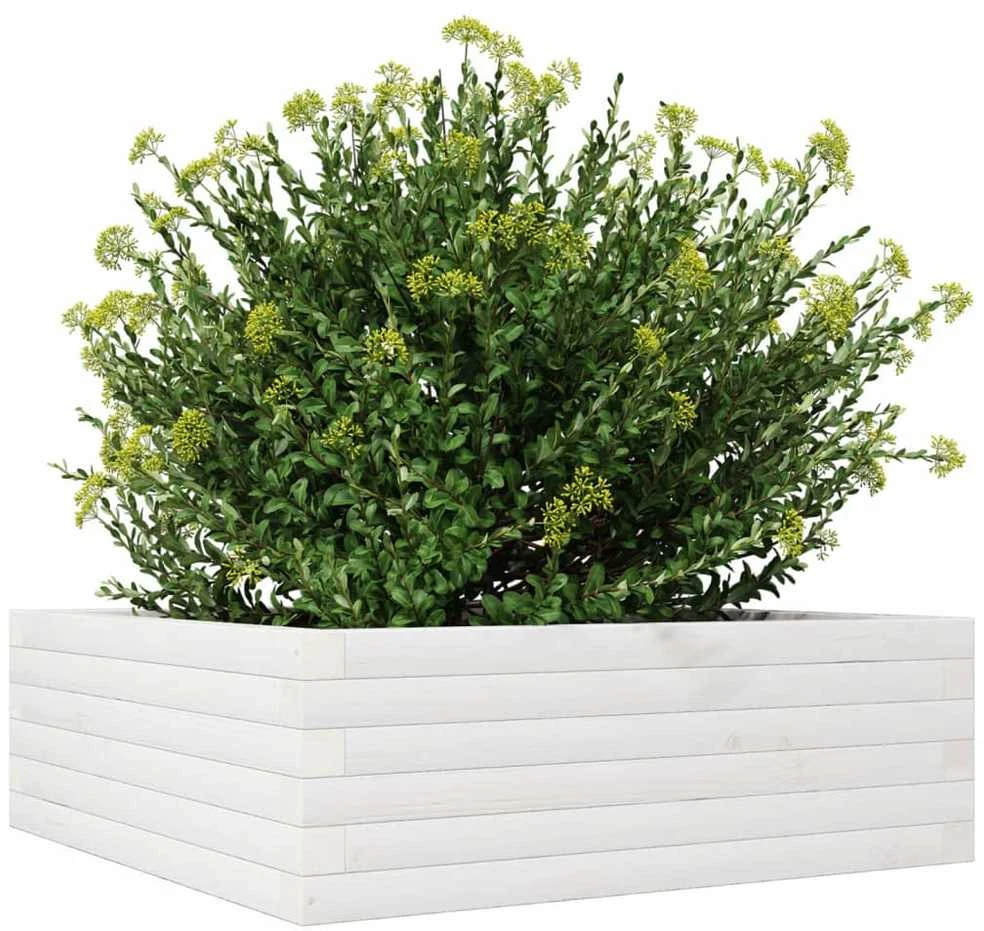 Sodo lovelis, baltas, 70x70x23cm, pušies medienos masyvas