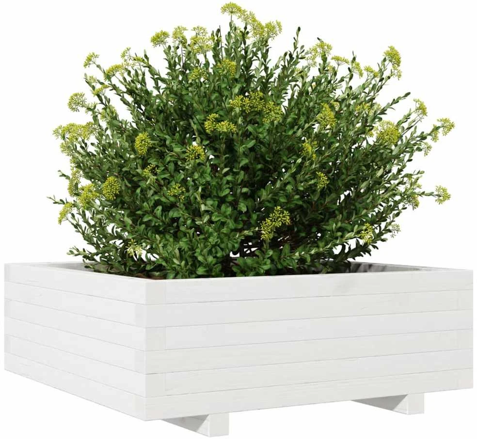 Sodo lovelis, baltas, 70x70x26,5cm, pušies medienos masyvas