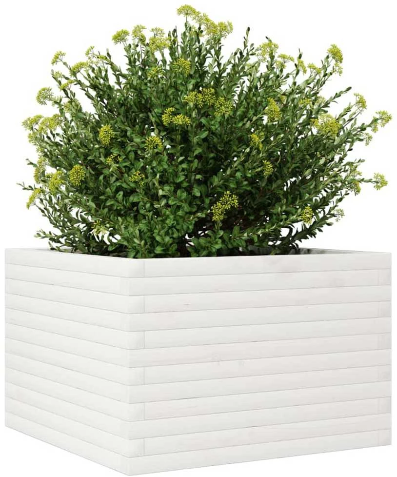 Sodo lovelis, baltas, 70x70x45,5cm, pušies medienos masyvas