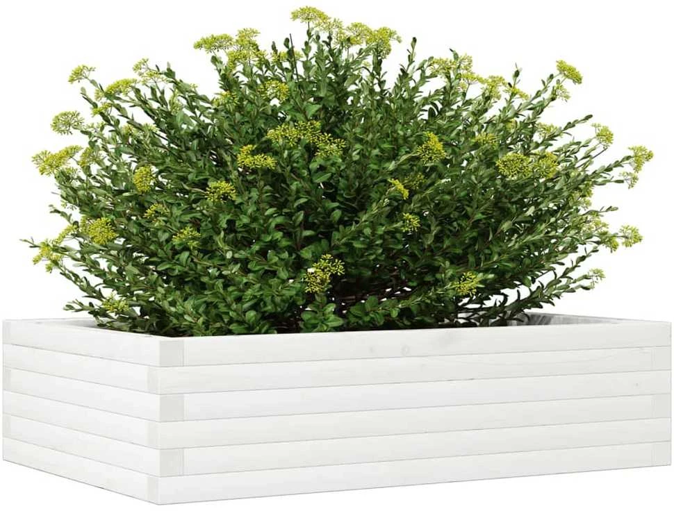 Sodo lovelis, baltas, 90x60x23cm, pušies medienos masyvas