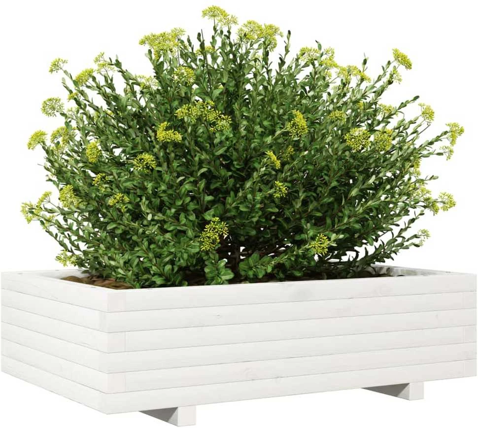 Sodo lovelis, baltas, 90x60x26,5cm, pušies medienos masyvas