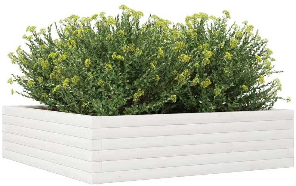 Sodo lovelis, baltas, 90x90x23cm, pušies medienos masyvas