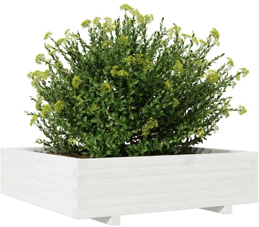 Sodo lovelis, baltas, 90x90x26,5cm, pušies medienos masyvas