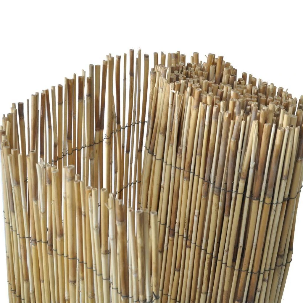 Sodo nendrių tvora, 500x100cm