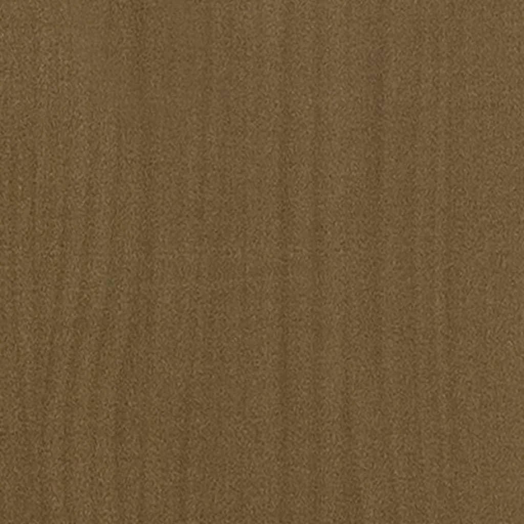 Spintelė/kambario pertvara, medaus ruda, 40x30x103,5cm, pušis