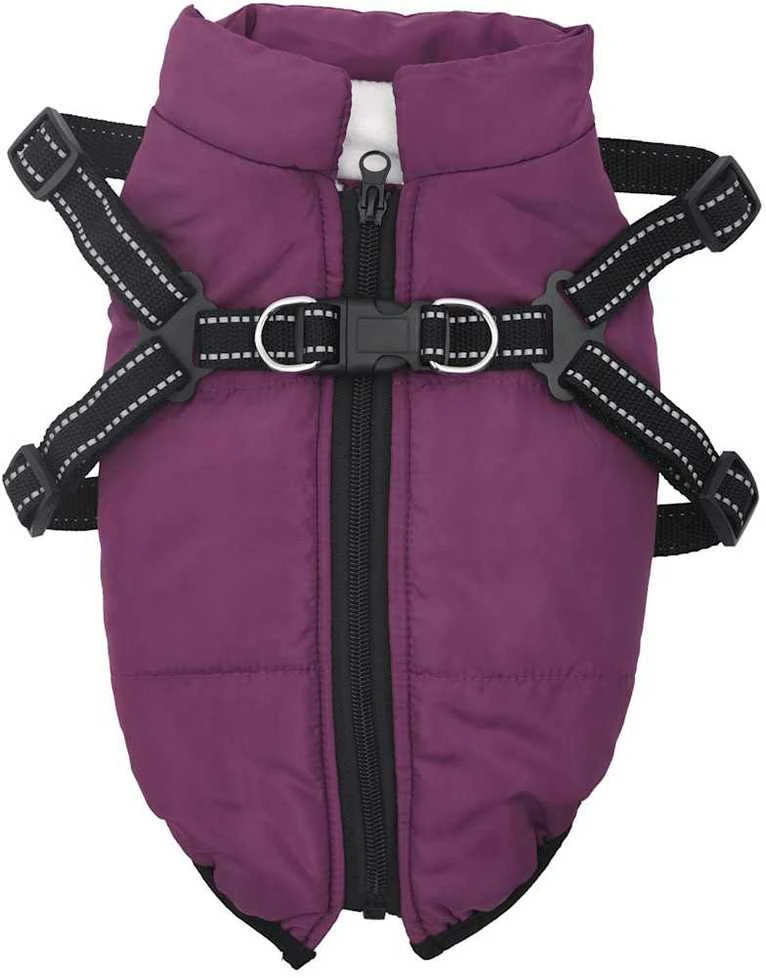 Šunų kailis su diržais, atsparus vandeniui, violetinis, 2XL