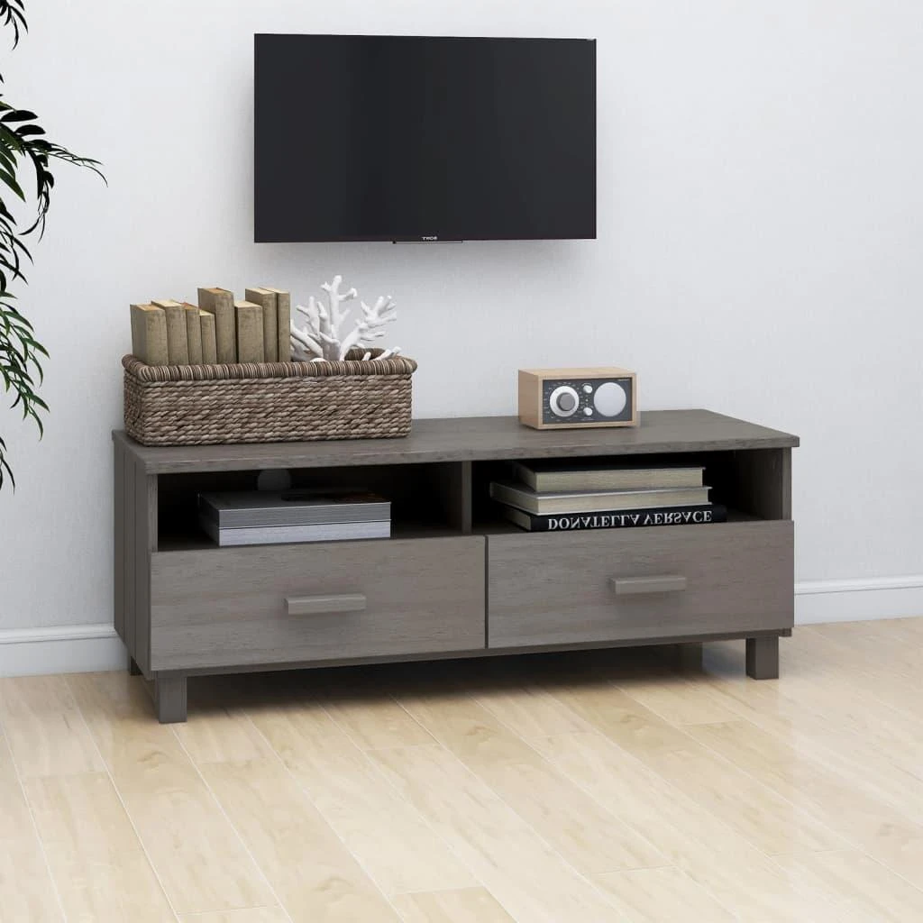 TV staliukas Televizoriaus spintelė HAMAR, pilka, 106x40x40cm, pušis