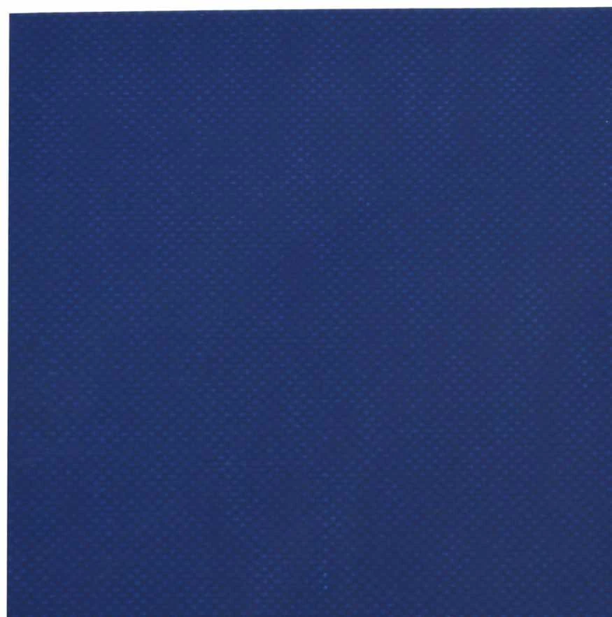 Tentas, mėlynos spalvos, 4x7m, 650g/m²