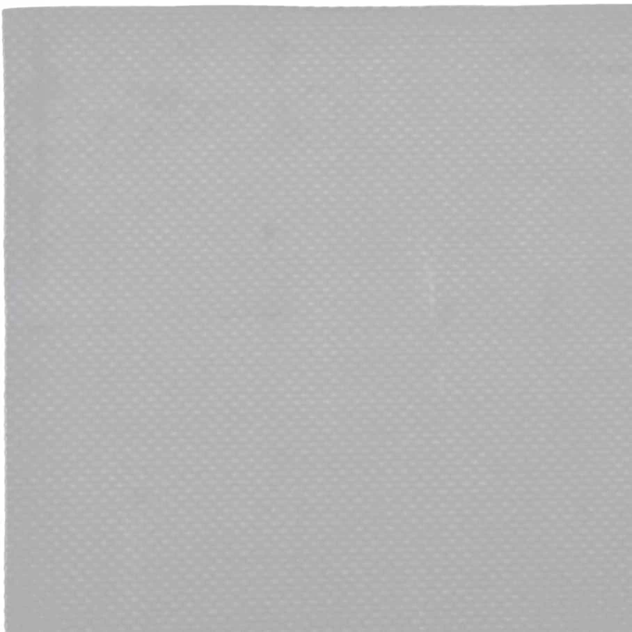 Tentas, pilkos spalvos, 4x7m, 600g/m²