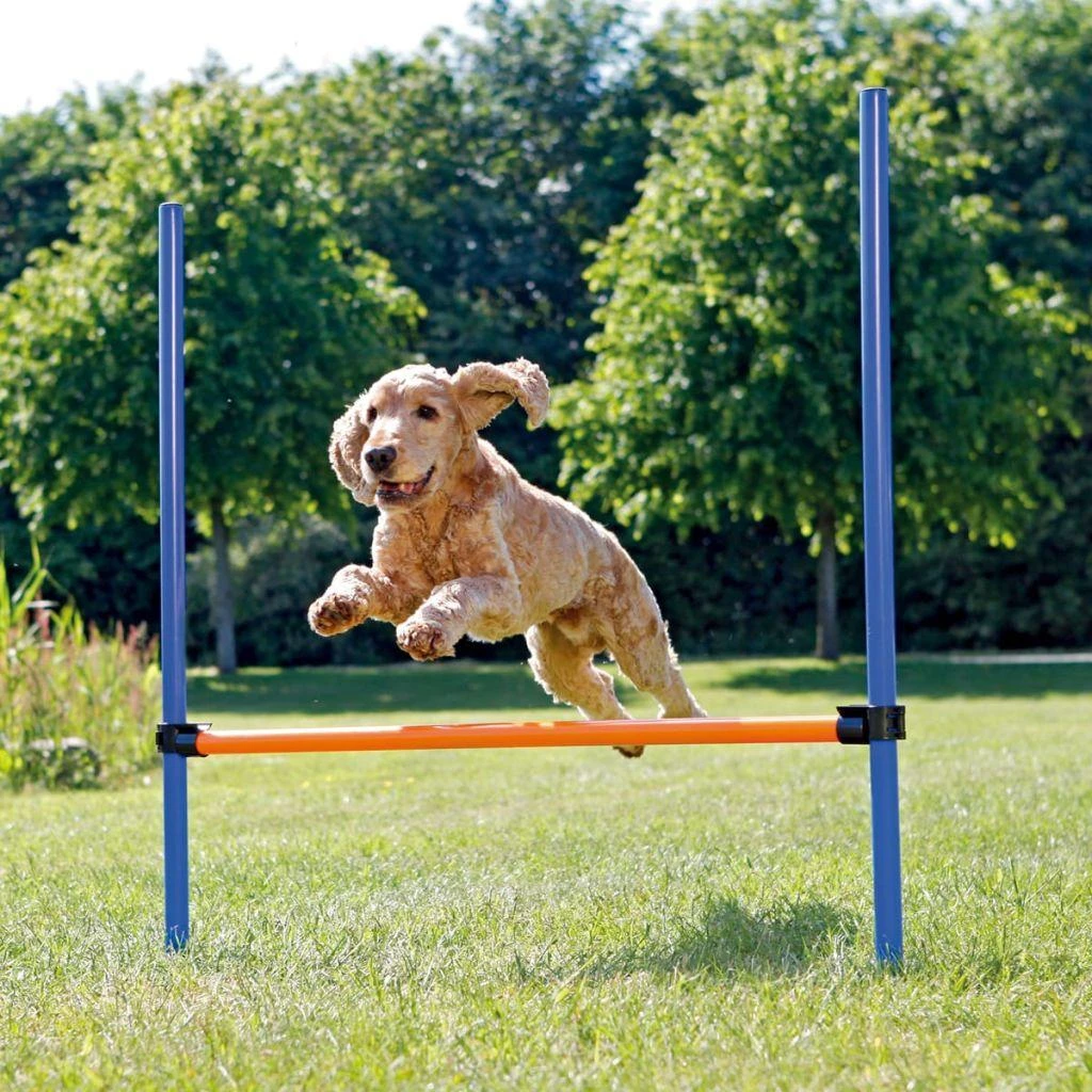 TRIXIE Agility kliūtis, 123x115 cm, plastikas, 3207