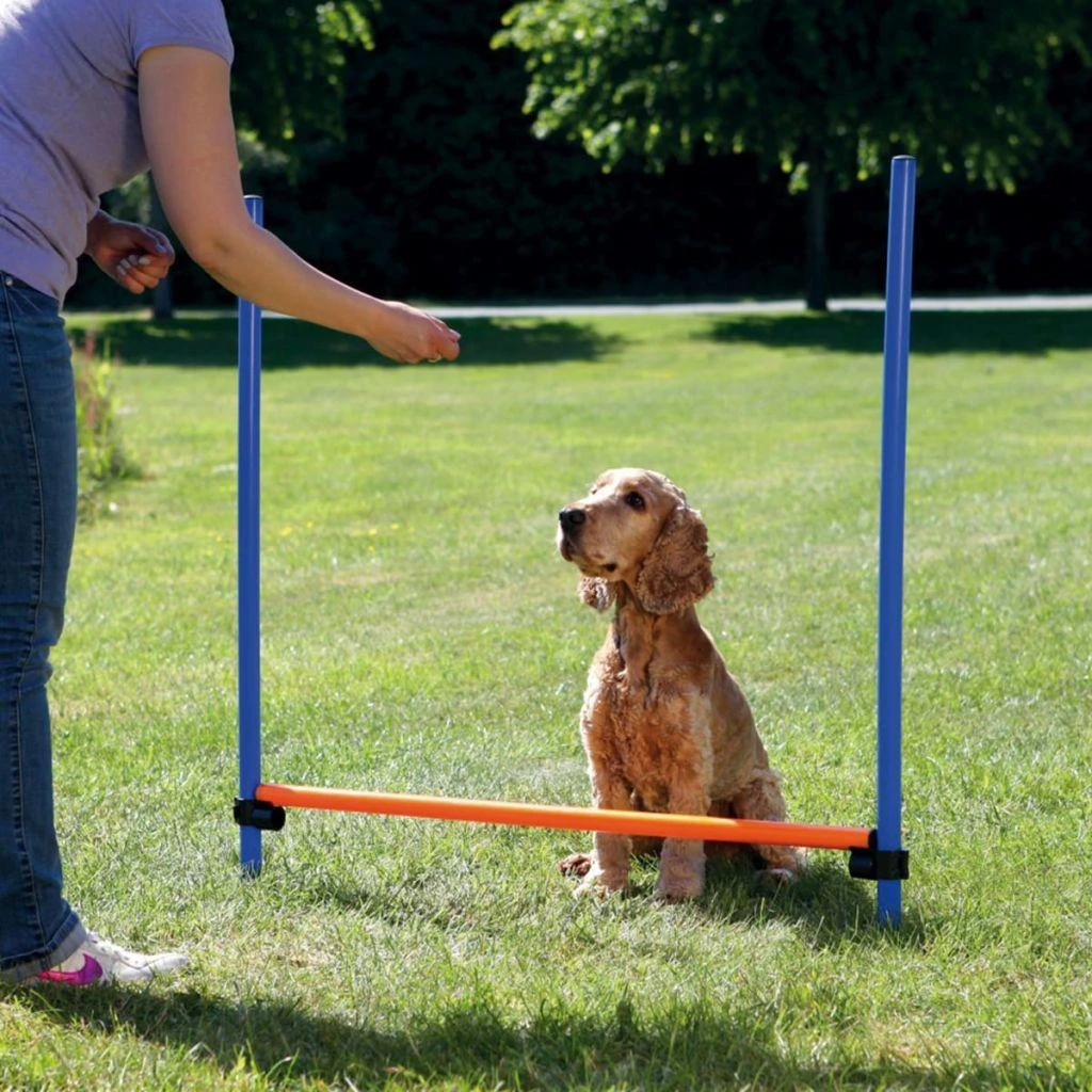 TRIXIE Agility kliūtis, 123x115 cm, plastikas, 3207