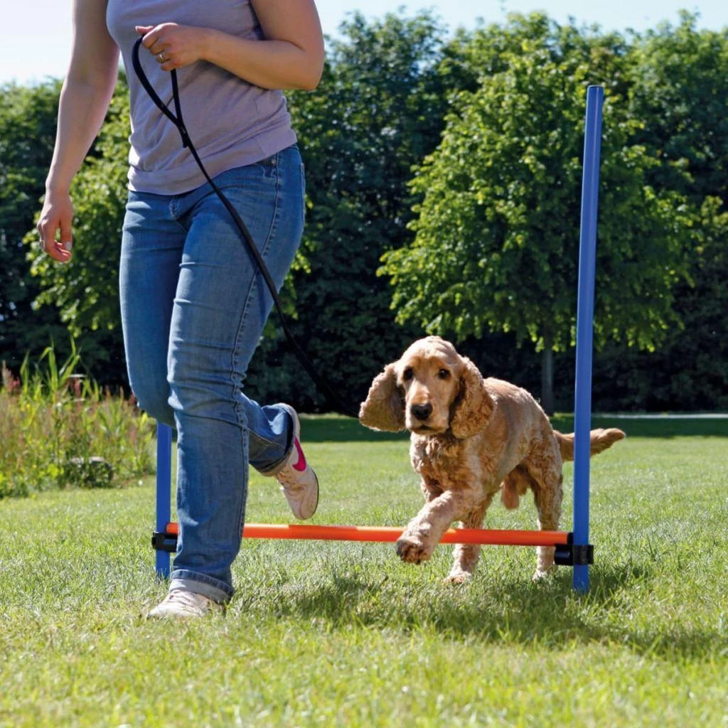 TRIXIE Agility kliūtis, 123x115 cm, plastikas, 3207