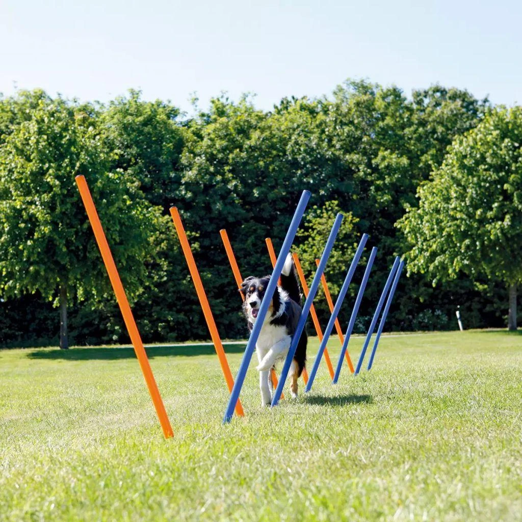 TRIXIE Agility Slalomo treniruoklis, 12 stulpų, 115 cm, plastikas, 3206