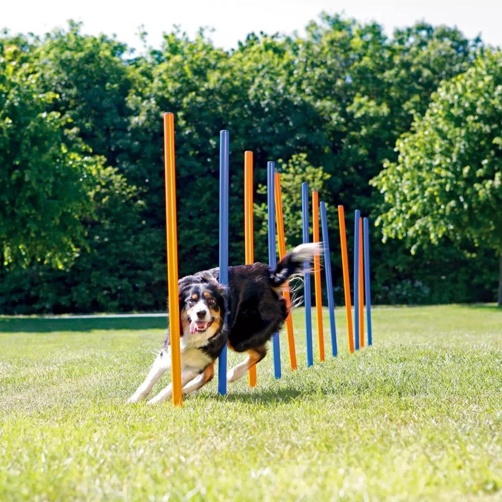 TRIXIE Agility Slalomo treniruoklis, 12 stulpų, 115 cm, plastikas, 3206