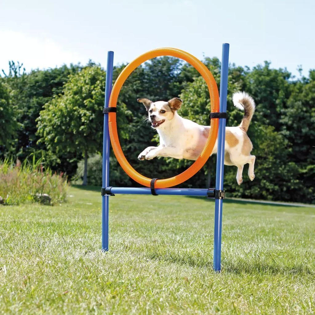 TRIXIE Agility žiedas, 115x3 cm, plastikas, 3208