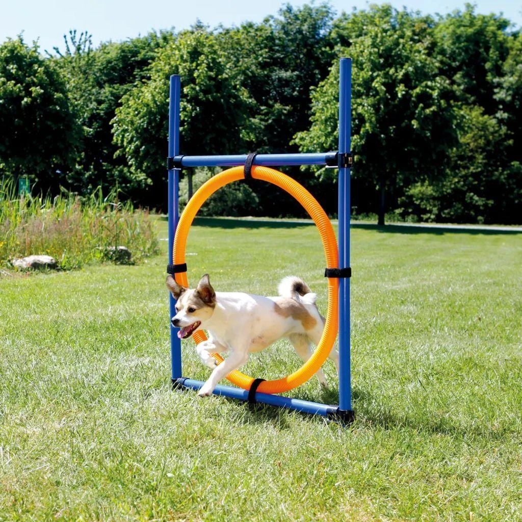 TRIXIE Agility žiedas, 115x3 cm, plastikas, 3208