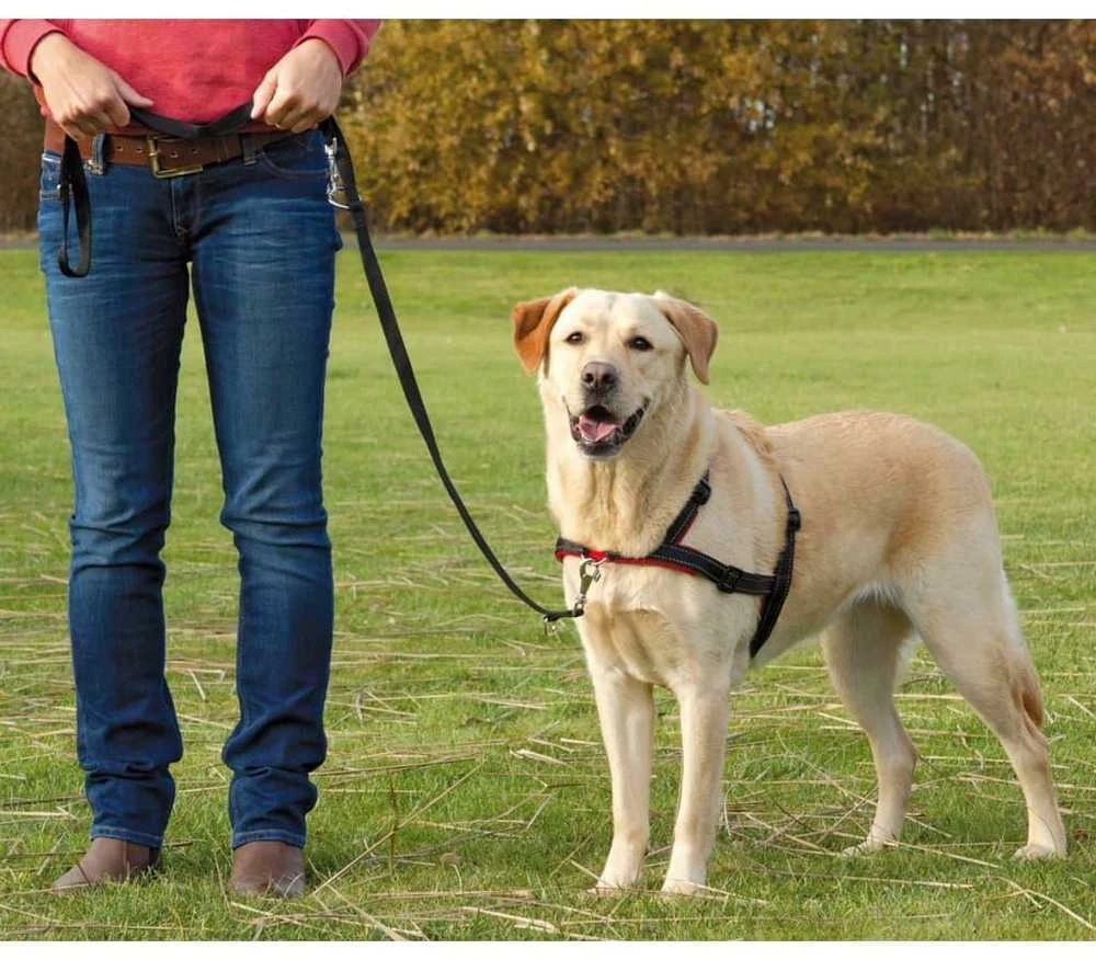 TRIXIE Petnešos Lead'n'Walk Soft, juodos, 65-105cm, L-XL dydžio, 13057