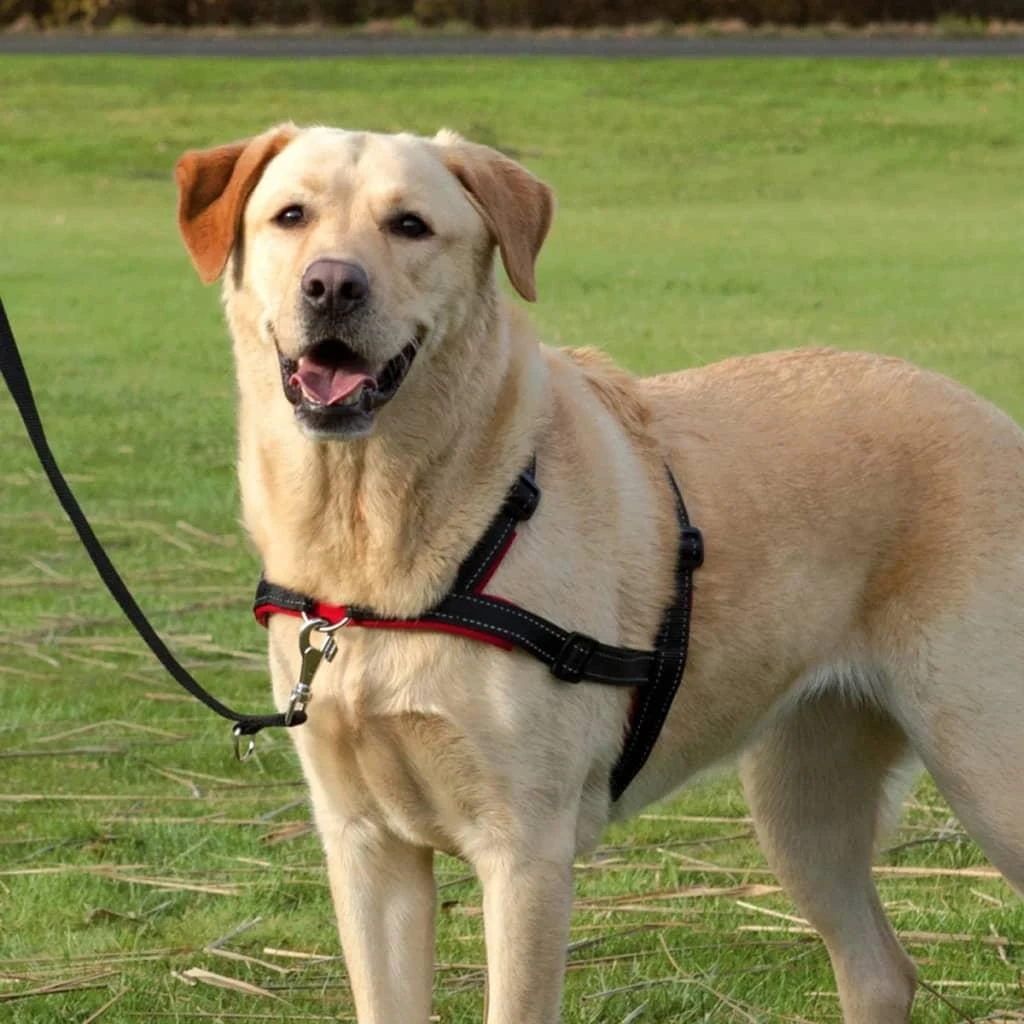 TRIXIE Petnešos Lead'n'Walk Soft, juodos, 45-70cm, S-M dydžio, 13055