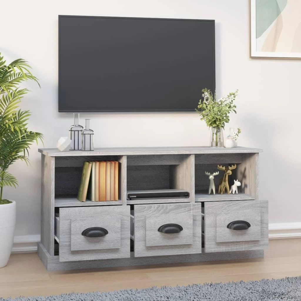TV staliukas Televizoriaus spintelė, pilka ąžuolo, 100x35x50cm, mediena