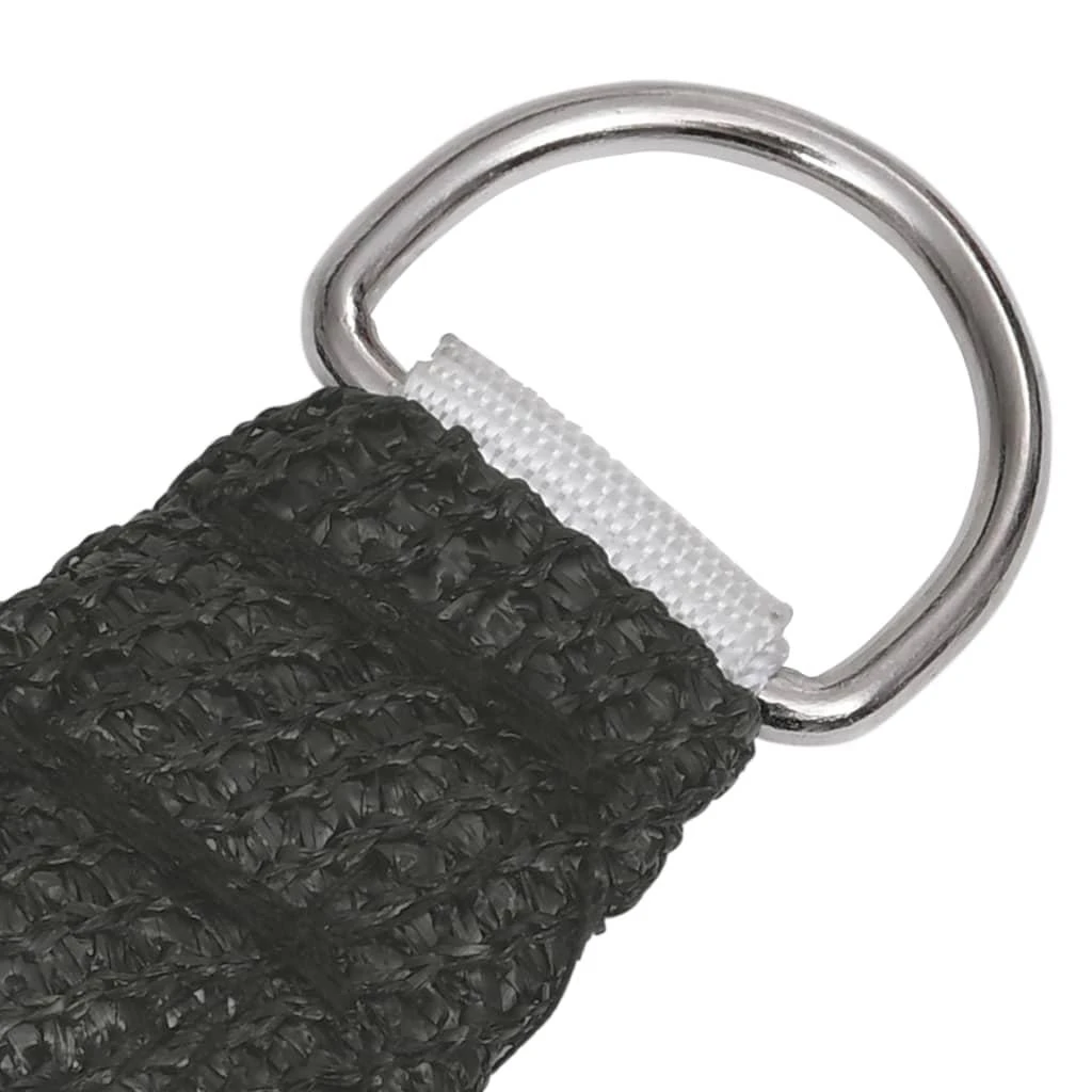Uždanga nuo saulės, antracito spalvos, 2,5x3m, HDPE, 160g/m²
