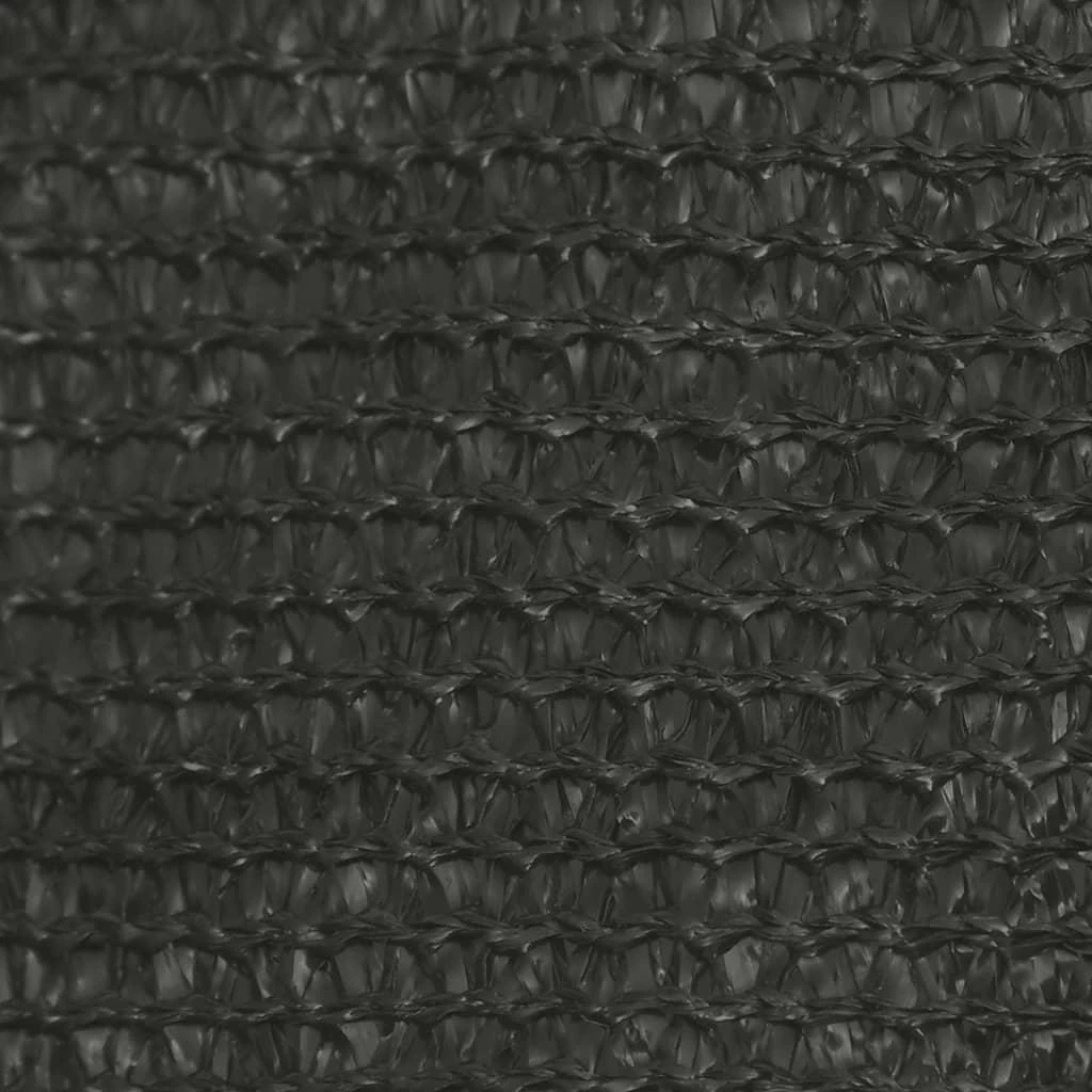 Uždanga nuo saulės, antracito spalvos, 3x4m, HDPE, 160g/m²