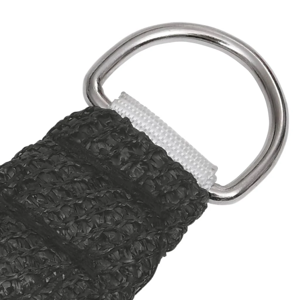 Uždanga nuo saulės, antracito spalvos, 6x8m, HDPE, 160g/m²