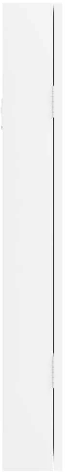 Veidrodinė papuošalų spintelė, balta, 30x8,5x67cm, sieninė