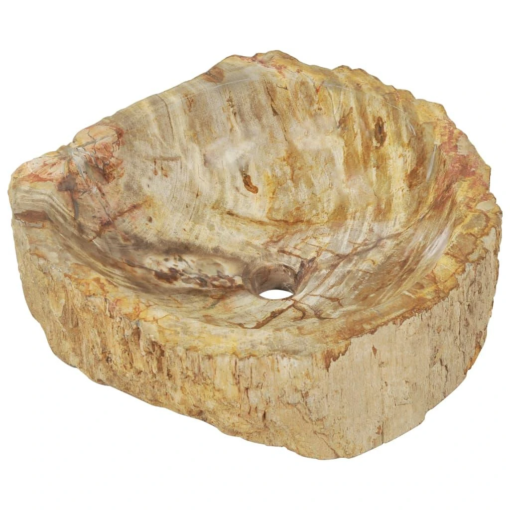 Kriauklė, kreminės spalvos, 45x35x15cm, iškastinis akmuo