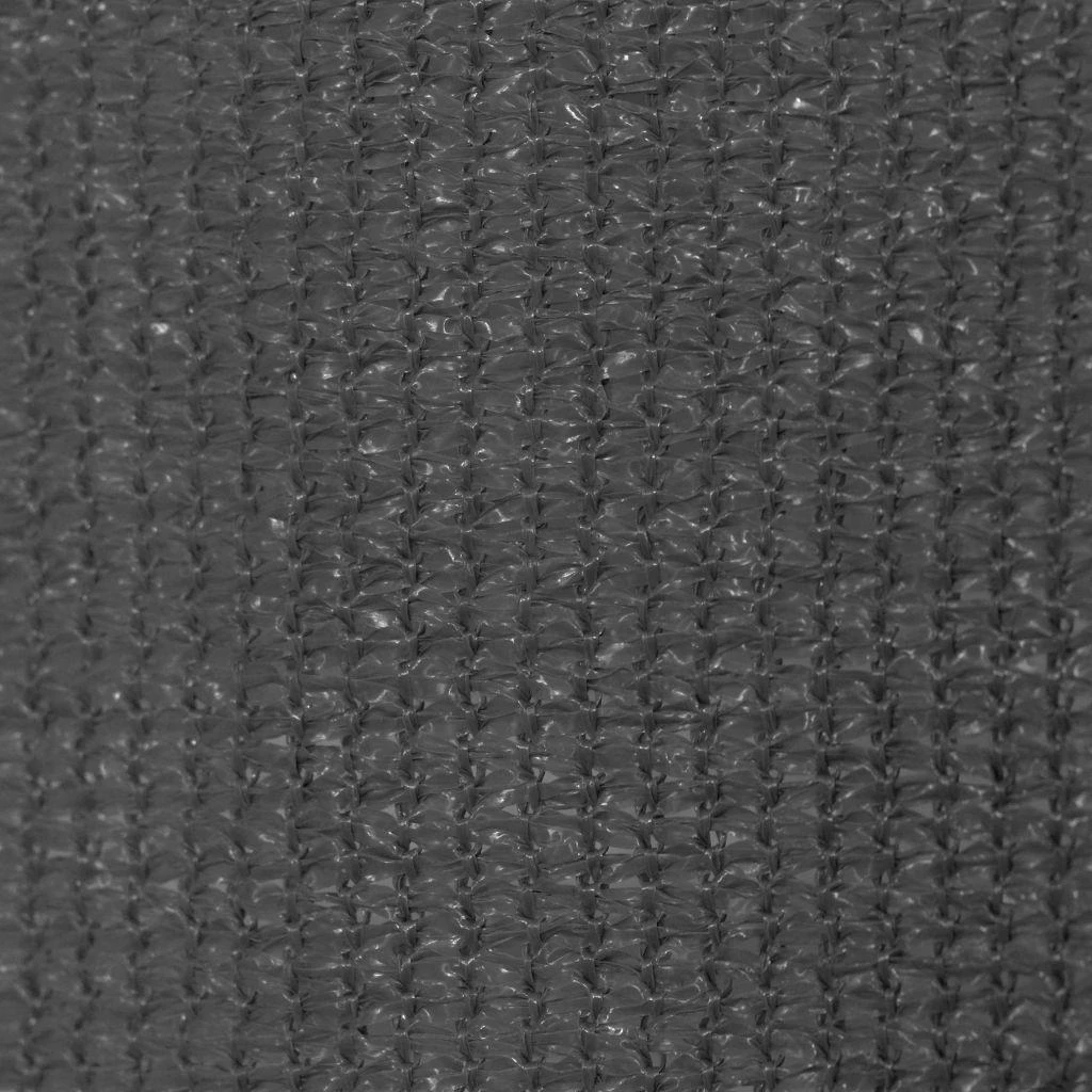 Lauko roletas, 300x230cm, antracito spalvos