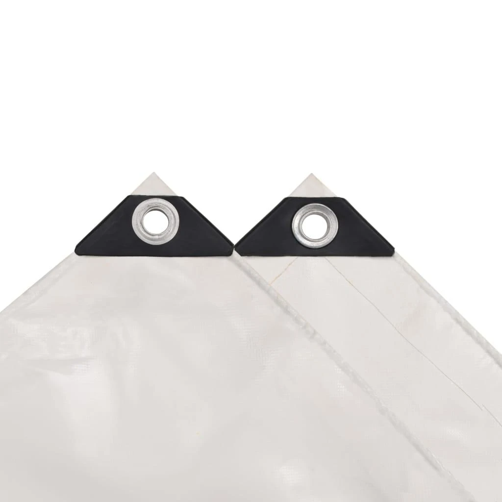 Tentas, 650g/m², 3x3m, baltas