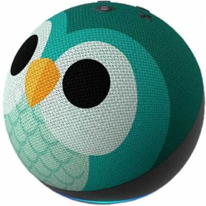 Amazon Echo Dot 5 Eulen Design