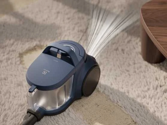 Electrolux EL31C2OG 2 L Cilindrinis dulkių siurblys Sausa 1000 W Bemaišis