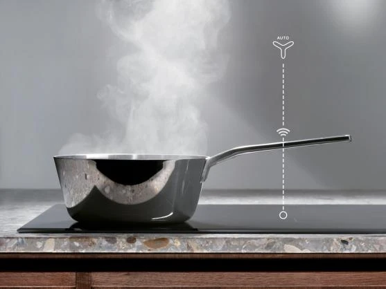 Gartraukis Electrolux LFG719X