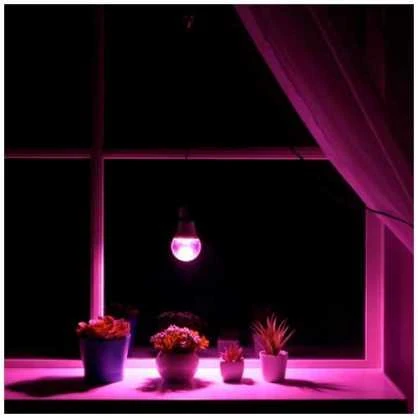 Visional LEMPA LED E27 12W AUGALAMS