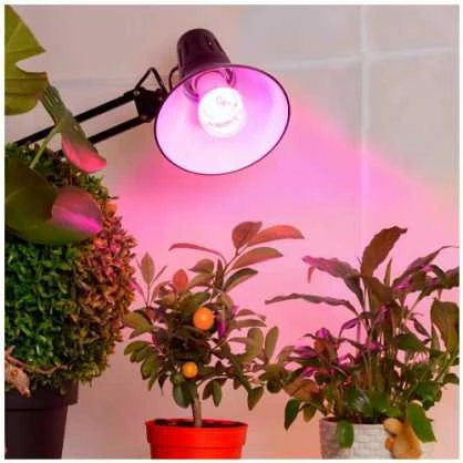 Visional LEMPA LED E27 24W AUGALAMS