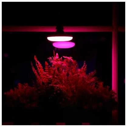 Visional 15W UFO Filament Fito LED Audzēšanas Spuldze A60 E27 Pilnīgs Spektrs 28.39 µmol/s Augu Augšanas Gaisma
