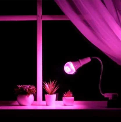 Visional LEMPA LED E27 24W AUGALAMS